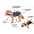 BellyGuard After Surgery Dog Recovery Onesie, Post Spay, Neuter, Body