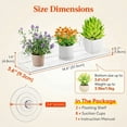 thumbnail image 4 of Luncia Window Plant Floating Shelves – 14.6 × 3.6" Acrylic Suction Cup Shelf 2-Pack for Indoor Plants, 4 of 9