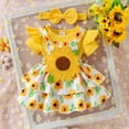 thumbnail image 2 of Conjunto de ropa CETEPY para bebé niña de 0 a 3 meses, falda y diadema, 2 of 9