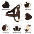 thumbnail image 3 of Personalized Dog Harness Leash Set No Pull Dog Harnesses Adjustable Pet Vests For Small Medium Large Dogs Pets Walking Lead Rope ShopWise Round, 3 of 10