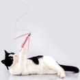 thumbnail image 2 of Cat Teaser Stick Caterpillar Replacement Head Funny Cat Stick Interactive Training Playing Stick Toy, 2 of 9