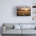 thumbnail image 4 of Canvas Wall Art - Christian Lindsten 'Fields Of Gold' Wall Art for Living Room, Bedroom, or Office Décor by Trademark Fine Art - 24 x 16 Inches, 4 of 4