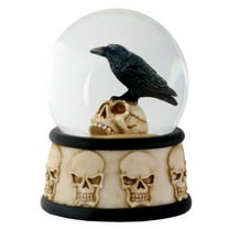 YTC 3.5 Inch Cold Cast Resin Raven on Skull Water Snow Globe Skull Theme