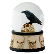 YTC 3.5 Inch Cold Cast Resin Raven on Skull Water Snow Globe Skull Theme