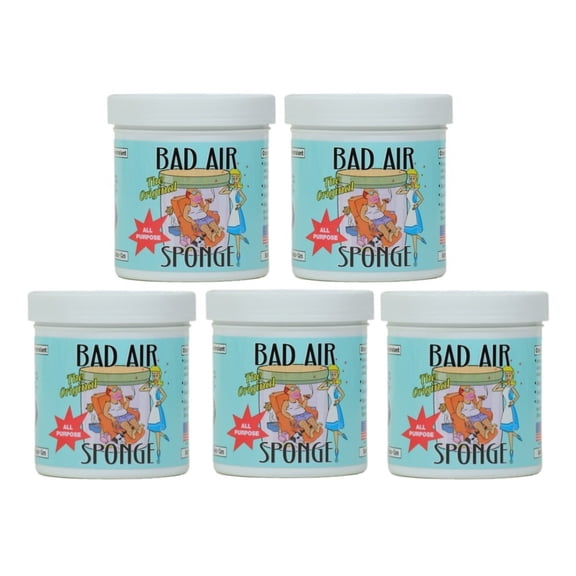 Bad Air Sponge Odor Absorber, Home & Pet Odor Eliminator, Bad Smell Eliminator for Indoor Air, 14 oz (Pack of 5)