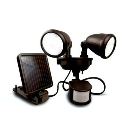 8 LED Solar-Powered Dual Head - Black