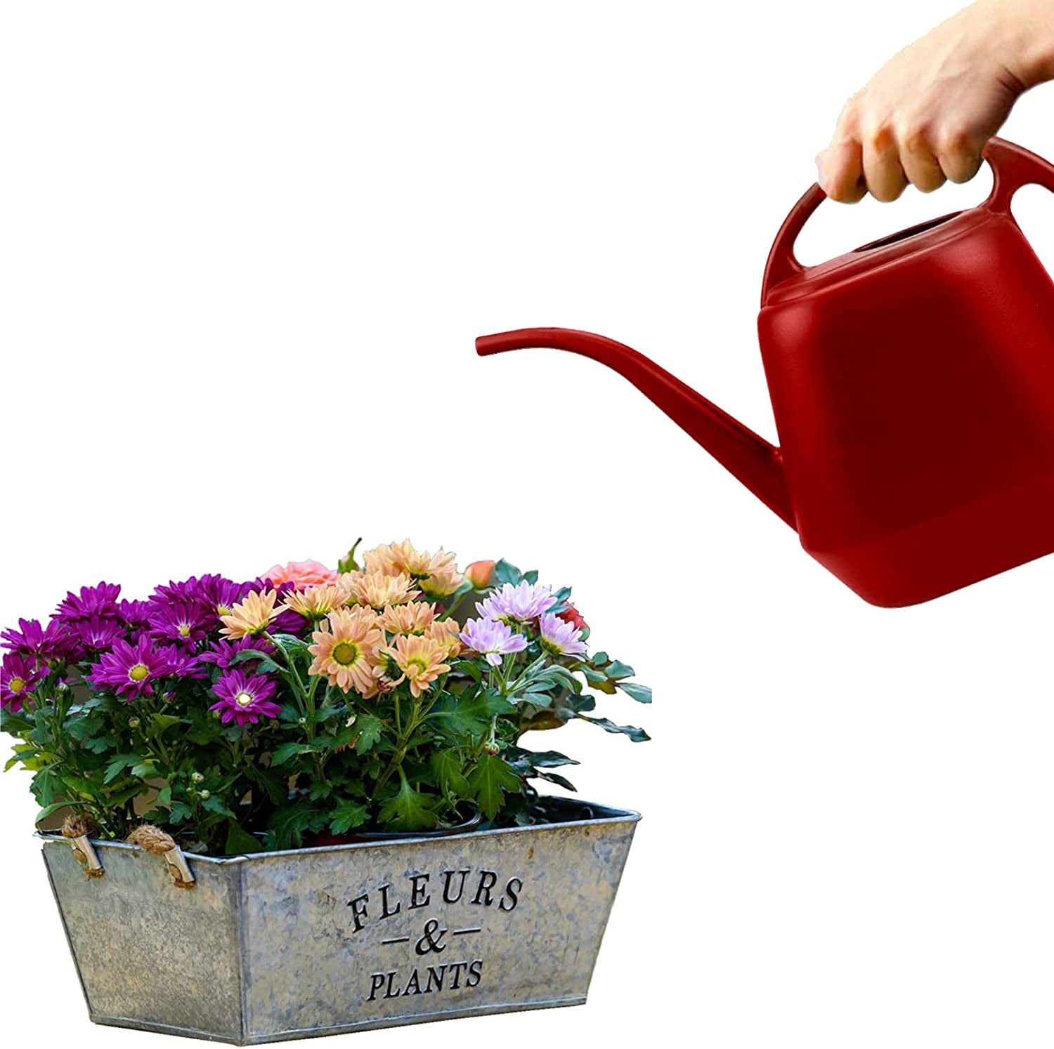 Plastic Watering Can, Burnt Red, 1-Gallon