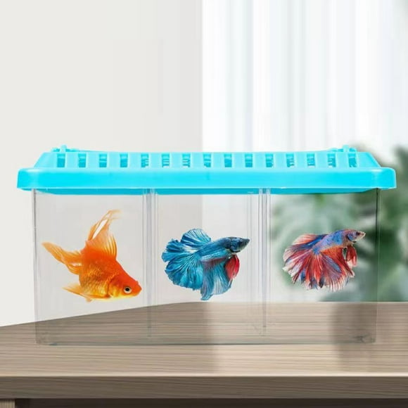 Divided Fish Tank, Transparent Small Fish Tank Acrylic 3 Grid for Home