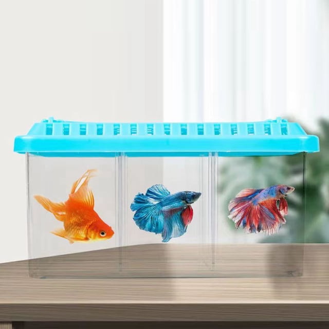 Divided Fish Tank, Transparent Small Fish Tank Acrylic 3 Grid for Home