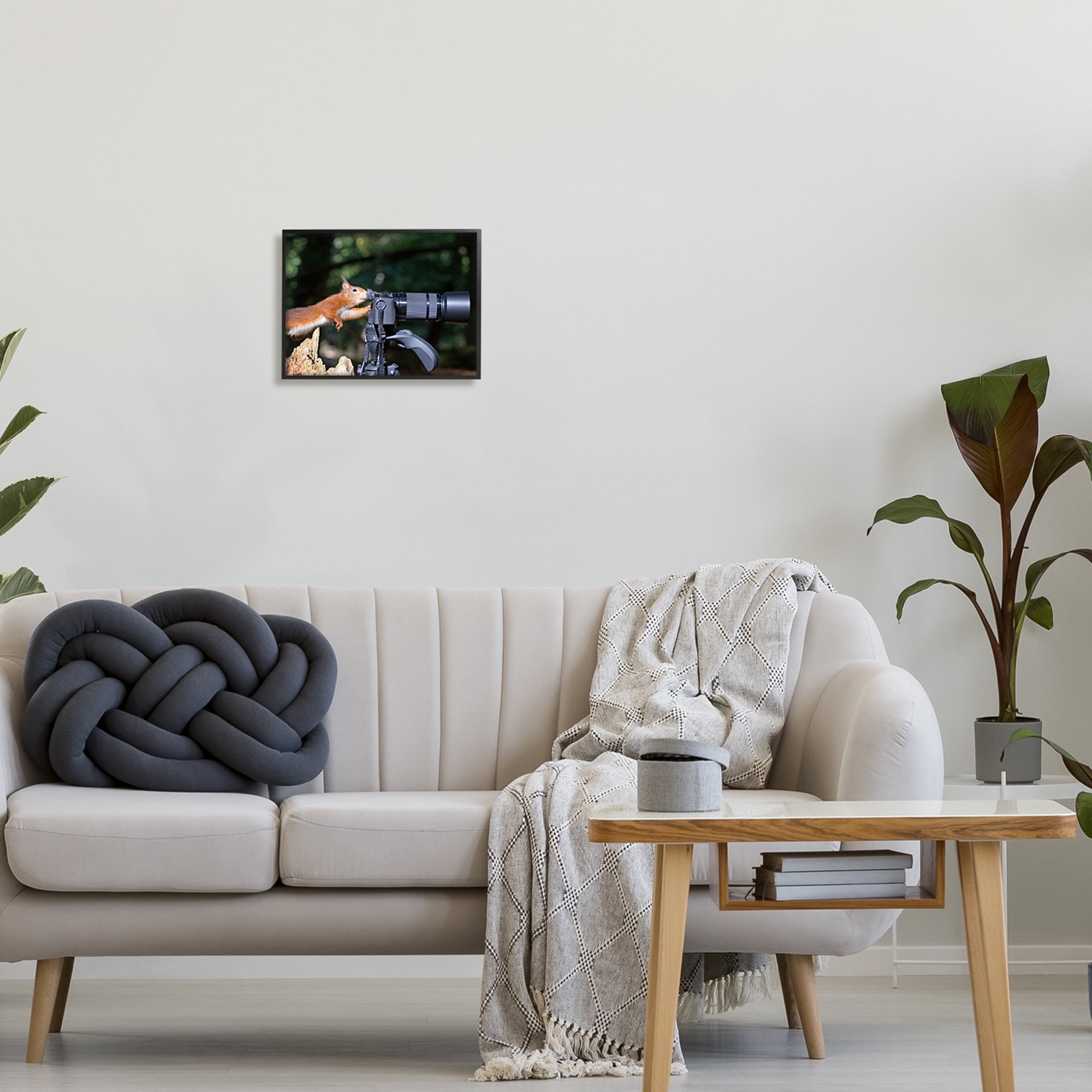 Stupell Industries Funny Squirrel Photographer Animals & Insects Photography Black Framed Art Print Wall Art, 14 x 11