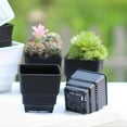 thumbnail image 3 of 8pcs Root Control Flowerpots Resin Square Planters Mini Plastic Succulent Pot for Cactus Bonsai (Black), 3 of 7