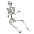 thumbnail image 1 of Gymax Full Body Halloween Skeleton 5.4ft Life Size w/ Hanging Rope Movable Joints, 1 of 10