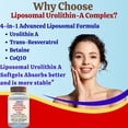 thumbnail image 5 of Nikoni Liposomal Urolithin-A Dietary Supplement Maximum Metabolism Healthy Aging Wellness 60 Softgels, 5 of 11