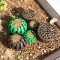 thumbnail image 4 of HLONK20 Pcs Root Tabs for Aquarium Plants Fertilizer Box Tool Prevent Loss, 4 of 8