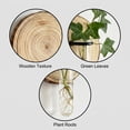 thumbnail image 4 of Wall Mounted Glass Planter, Natural Wood Slice Single Test Tube Hydroponic Vase, Hanging Plant Propagation Station for Indoor Home Decor and Office Wall Art Decoration, 4 of 6