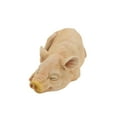 thumbnail image 4 of Design Toscano Sandman and Porker, the Piggies Garden Statues: Sandman, 4 of 13