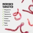 thumbnail image 3 of Tintura de hierbas Food over Drugs Children's Para Formula, 3 of 9