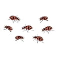 thumbnail image 6 of Insect Lore Live Ladybug Growing Kit - Ladybug Land Habitat with 10-15 Live Pink Spotted Ladybug Larvae - Raise, Observe and Release Ladybugs, 6 of 7