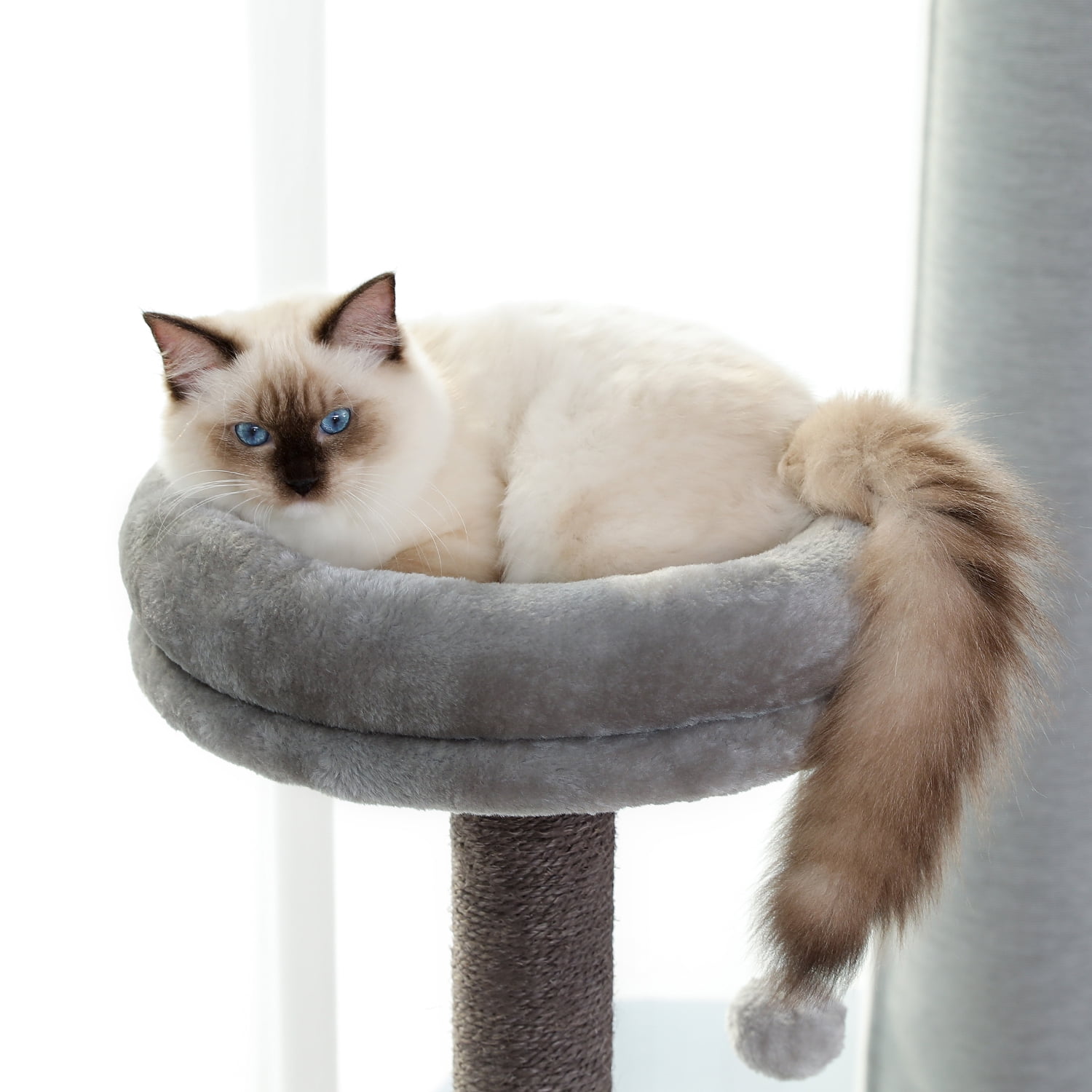 Pefilos 57" 4 Levels Platform Cat Tree, Wood Cat Condo for Large Cats with Fully Scratching Posts, Hammock, Padded Perch Cat Tower for Indoor, Gray Pefilos 57" 4 Levels Platform Cat Tree, Wood Cat Condo for Large Cats with Fully Scratching Posts, Hammock, Padded Perch Cat Tower for Indoor, Gray