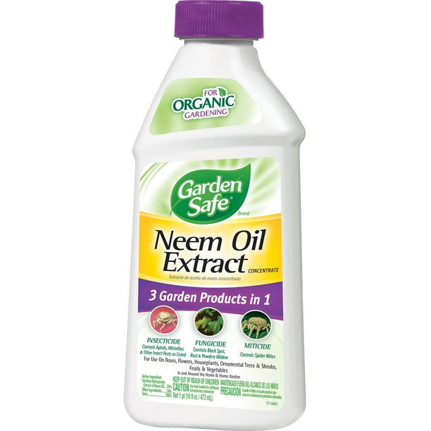 Garden Safe Neem Oil Extract Concentrate, 3-In-1 Insecticide, Fungicide