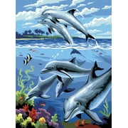 Junior Small Paint By Number Kit 8.75"X11.75"-Dolphins