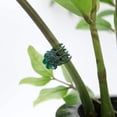 thumbnail image 3 of 100 clips para frutas y verduras con orquídeas mariposa, clips para jardinería con enredaderas, clips fijos con clips para injertos, clips de plástico con plantas, herramientas para jardines, huertos, granjas, etc. ER, 3 of 5