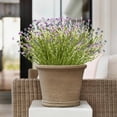 thumbnail image 5 of Blaxill Artificial Flowers, Lavender Gypsophila Bouquet, Home Decor, Multicolor, 42cm Plastic Realistic Floral Arrangement, Living Room/Table Decor, 5 of 6