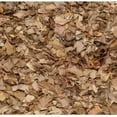 thumbnail image 5 of SAFAVIEH Rio Cassandra Confetti Polyester Shag Area Rug, Natural/Multi, 4' x 4' Round, 5 of 6