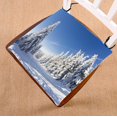thumbnail image 1 of Cojín para silla ABPHQTO paisaje de invierno nieve cielo azul 40x40 cm, 1 of 1