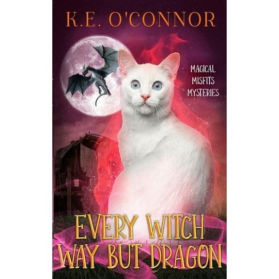 Magical Misfits Mysteries Every Witch Way but Dragon, Book 12, (Paperback)