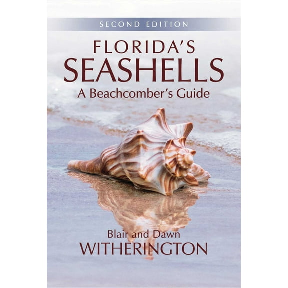 Florida's Seashells: A Beachcomber's Guide (Edition 2) (Paperback)