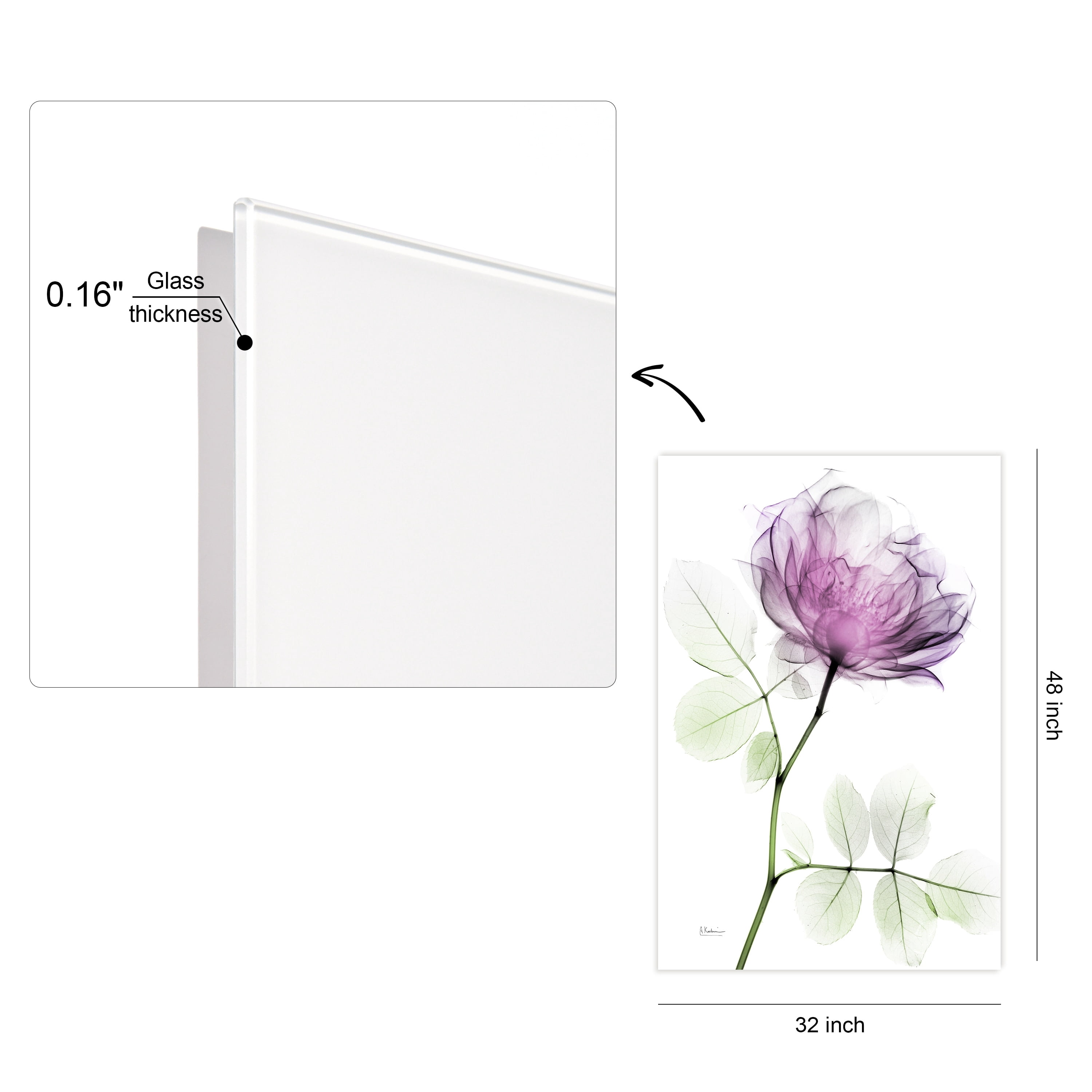Rose Dynasty 1 Frameless Free Floating 32 in x 48 in Painting Art Prints, by Empire Art Direct