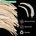thumbnail image 2 of Uxcell Paquete de 20 Plumas para Manualidades, Plumas Naturales Esponjosas Blancas de 9.84-11.81 Pulgadas para Decoraciones de Bodas, 2 of 6