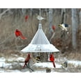 Mandarin Bird Feeder with Perches, Large Squirrel Proof Bird Feeder, 17