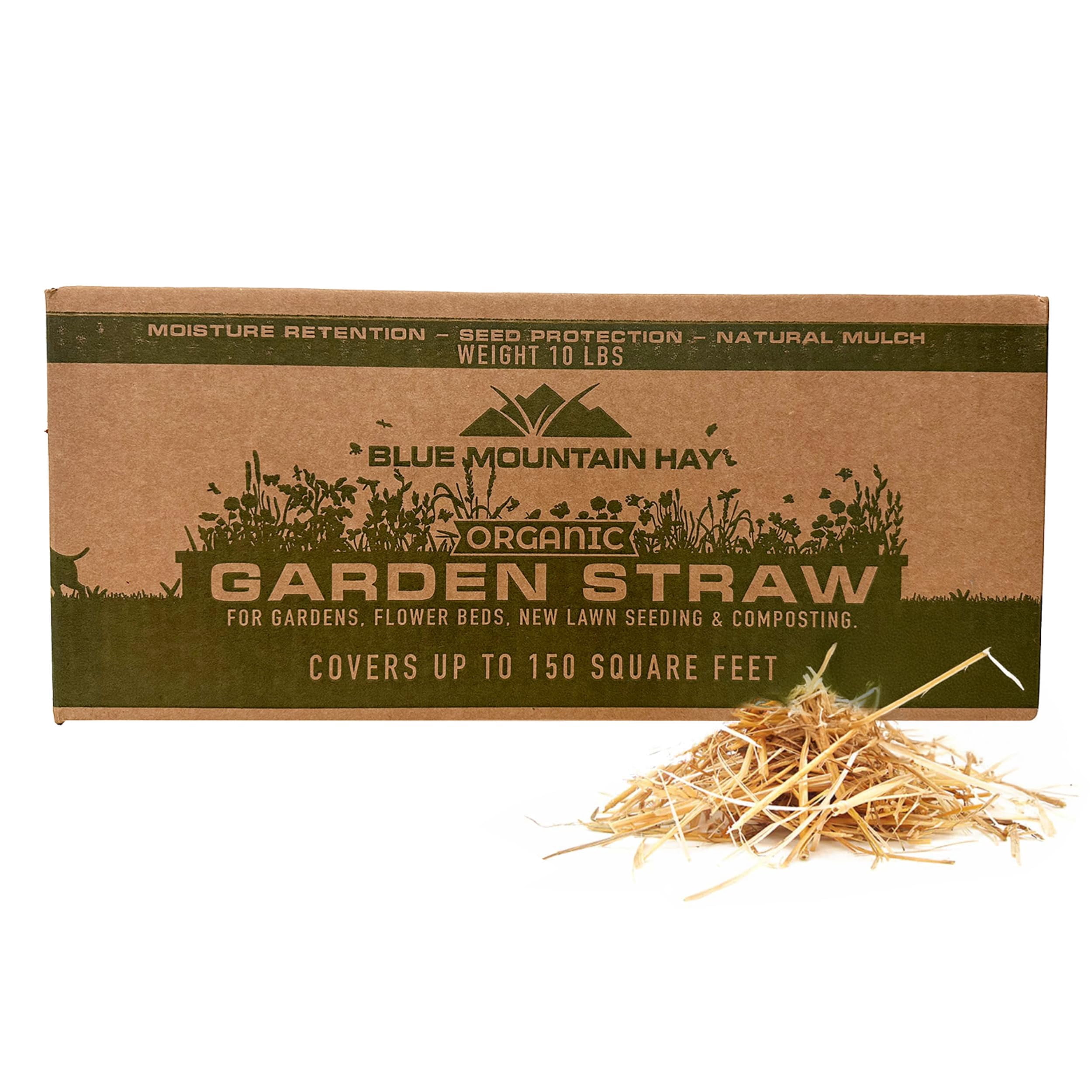 Blue Mountain Hay Organic Garden Straw (10 lb) - Natural Mulch for Gardening, Flower Beds & Landscaping, New Lawn Grass Seeding, Compost, Raised Garden Bed, Cat Grass & Grass Seed