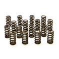 thumbnail image 1 of Jeu de Ressorts de Valves de Ruches Ovales de 1,061 Po, 1 of 1