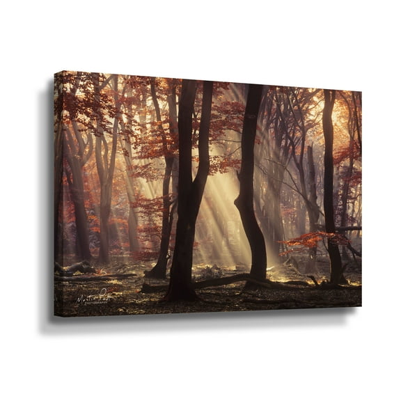 Artwall Its Raining Sunrays, Gallery Wrapped Canvas by Martin Podt