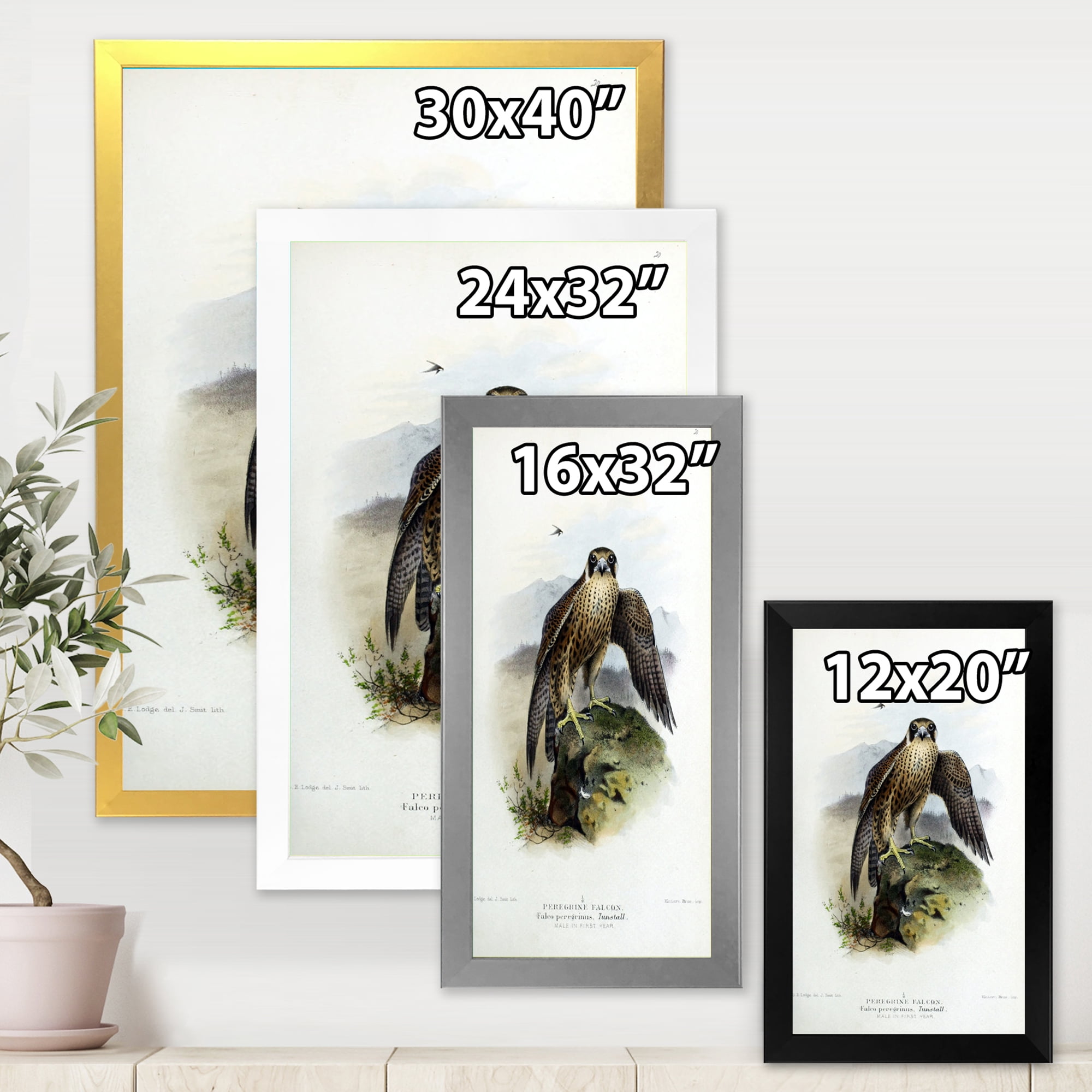 Designart 'Ancient Bird Life VIII' Traditional Framed Art Print