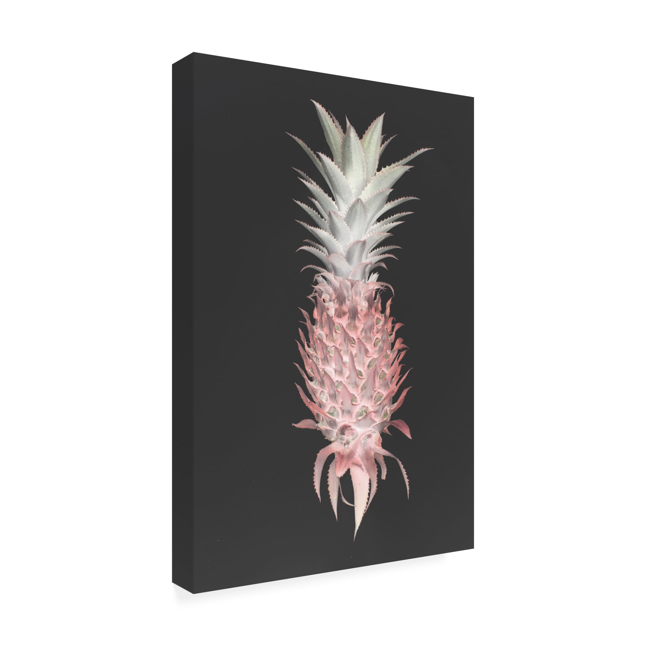 Trademark Fine Art Shot by Clint Strawberry Pine Canvas Wall Art