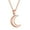 Rose Gold, variant on Moon Urn Necklaces for Ashes Stainless Steel Cremation Jewelry for Ashes Keepsake Urn Necklace for Human Pet Ashes Memorial Jewelry for Women Men Funeral Jewelry