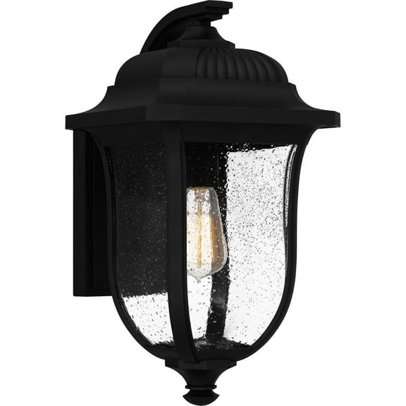 Quoizel Mulberry 1-Light Matte Black Outdoor Wall Lantern