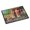 Multicolor, variant on Carolines Treasures 7351MAT Helper Corgis Doormat 18x27 27"L x 18"W multicolor
