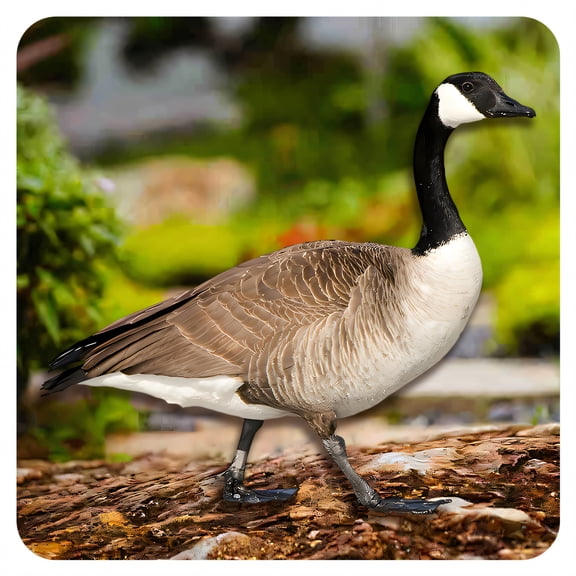 XIBUFE Acrylic Canada Goose Garden Statues, Weatherproof Poultry Lawn Ornaments, Bright Color Outdoor Sculptures for Yard Patio Backyard Decor, Style 3