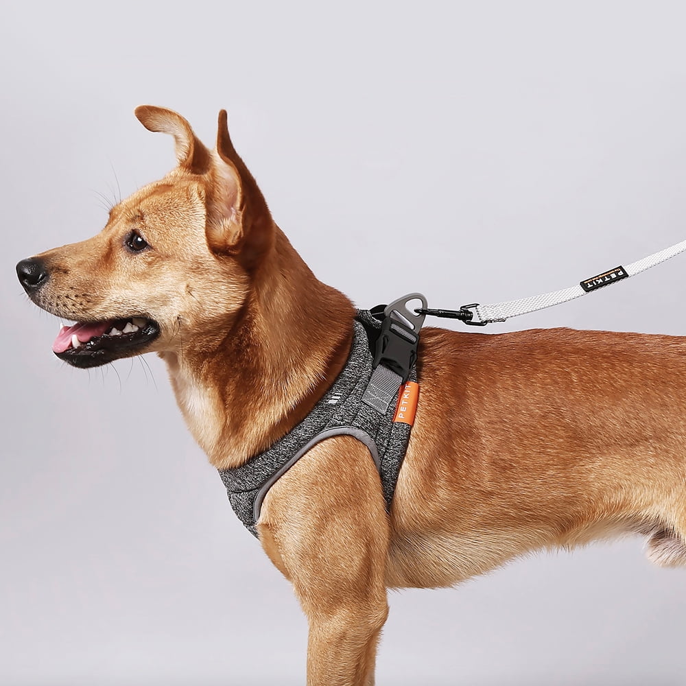 Petkit Air Pro Harness Light Foam, Shock Absorbent, Breathable, for Medium and Small Animals (Medium)