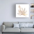 thumbnail image 3 of Wild Apple Portfolio 'Pacific Sea Mosses XII White Sq' Canvas Art, 3 of 3