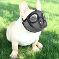 thumbnail image 1 of Dog Muzzle With Short Snout Adjustable Breathable Mesh Muzzle For English French Bulldogs Anti-bite Chewing, 1 of 5