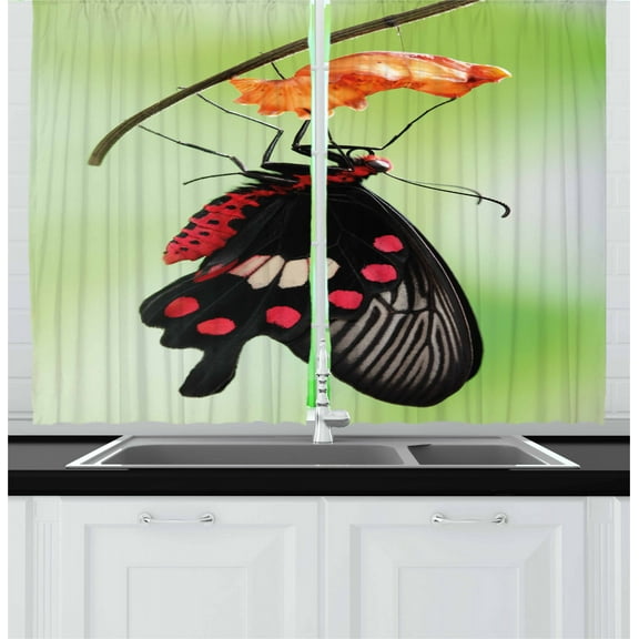 Ambesonne Swallowtail Kitchen Curtains, Open Cocoon, 55"x45", Red Black Green
