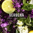 thumbnail image 3 of Perfume Panier des Sens Verbena 50 ml Eau de Toilette, 3 of 6