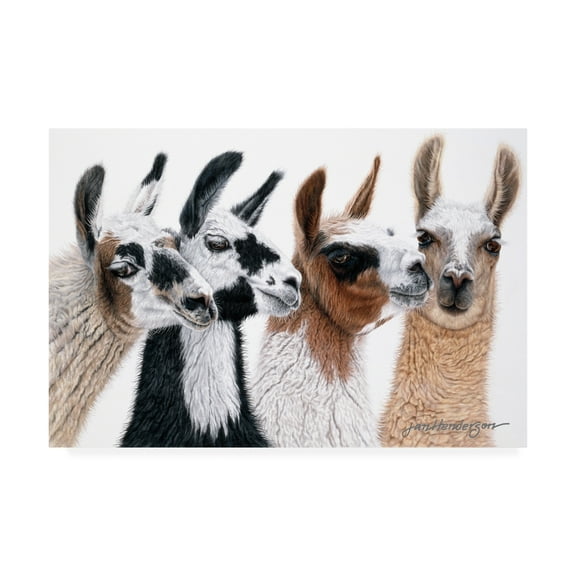 Trademark Fine Art 'Peruvian Visitors' Canvas Art by Jan Henderso