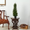 thumbnail image 4 of Nearly Natural 2.5' Cypress Artificial Tree UV Resistant (Indoor/Outdoor), 4 of 5